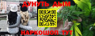 индика Партизанск