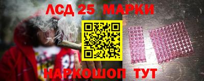 прущие грибы Первоуральск