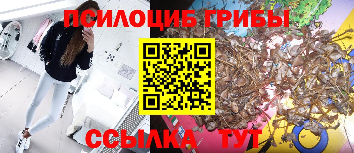Галлюциногенные грибы ЛСД  Вход с VPN  Партизанск  Галлюциногенные грибы Psilocybine cubensis 