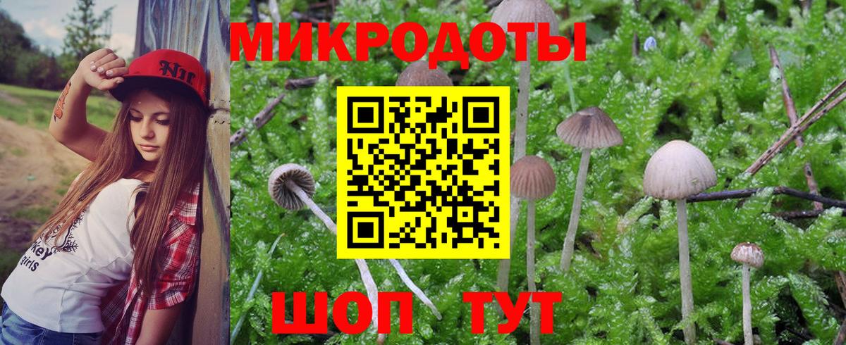 Псилоцибиновые грибы Magic Shrooms Партизанск